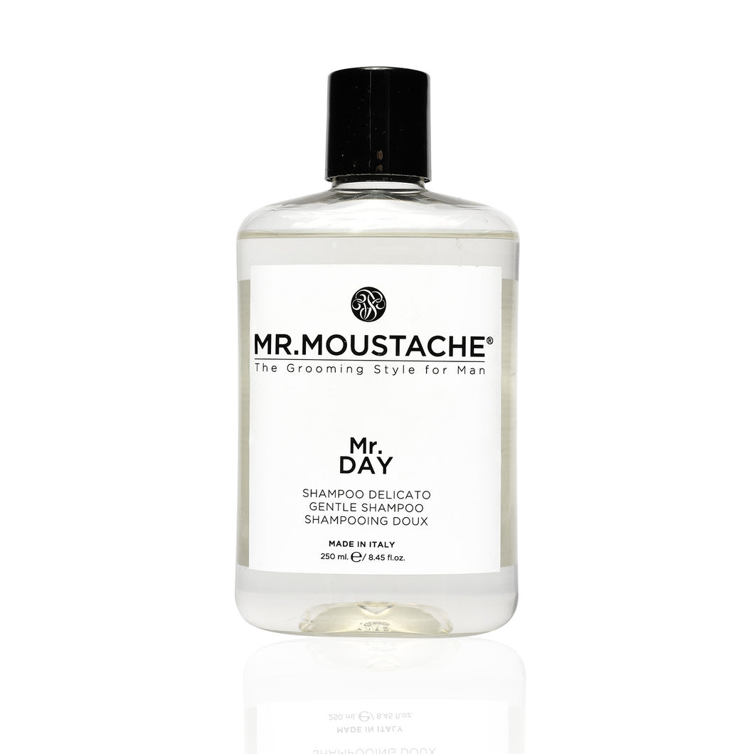 Mr.DAY Gentle Shampoo 250ml